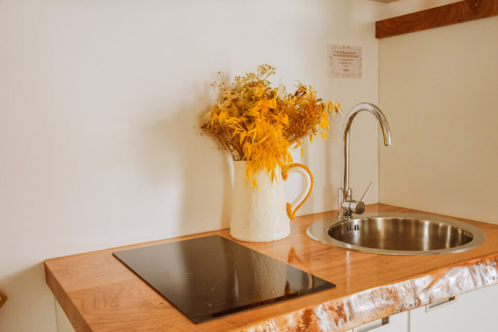 Alojamento - T0- cooktop cozinha