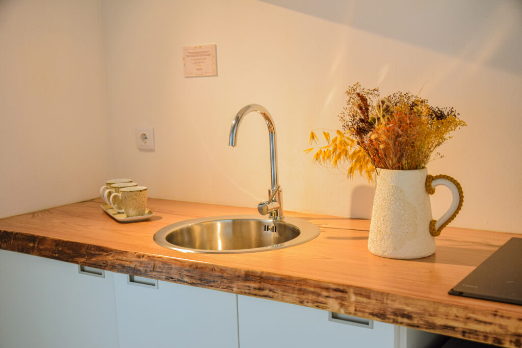 Alojamento - t1-pia com torneira e planta