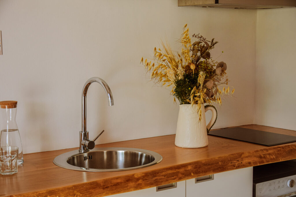 Alojamento - t2- balcão cozinha com vaso de planta