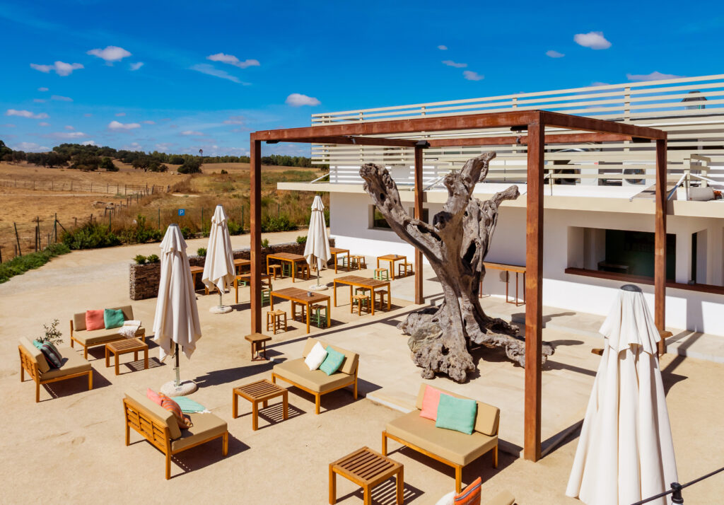 Espaço da Esplanada com árvore milenar