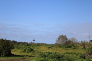 Turismo Sustentável - Blog